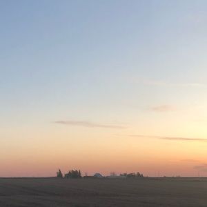 Meet your Posher, Carrie